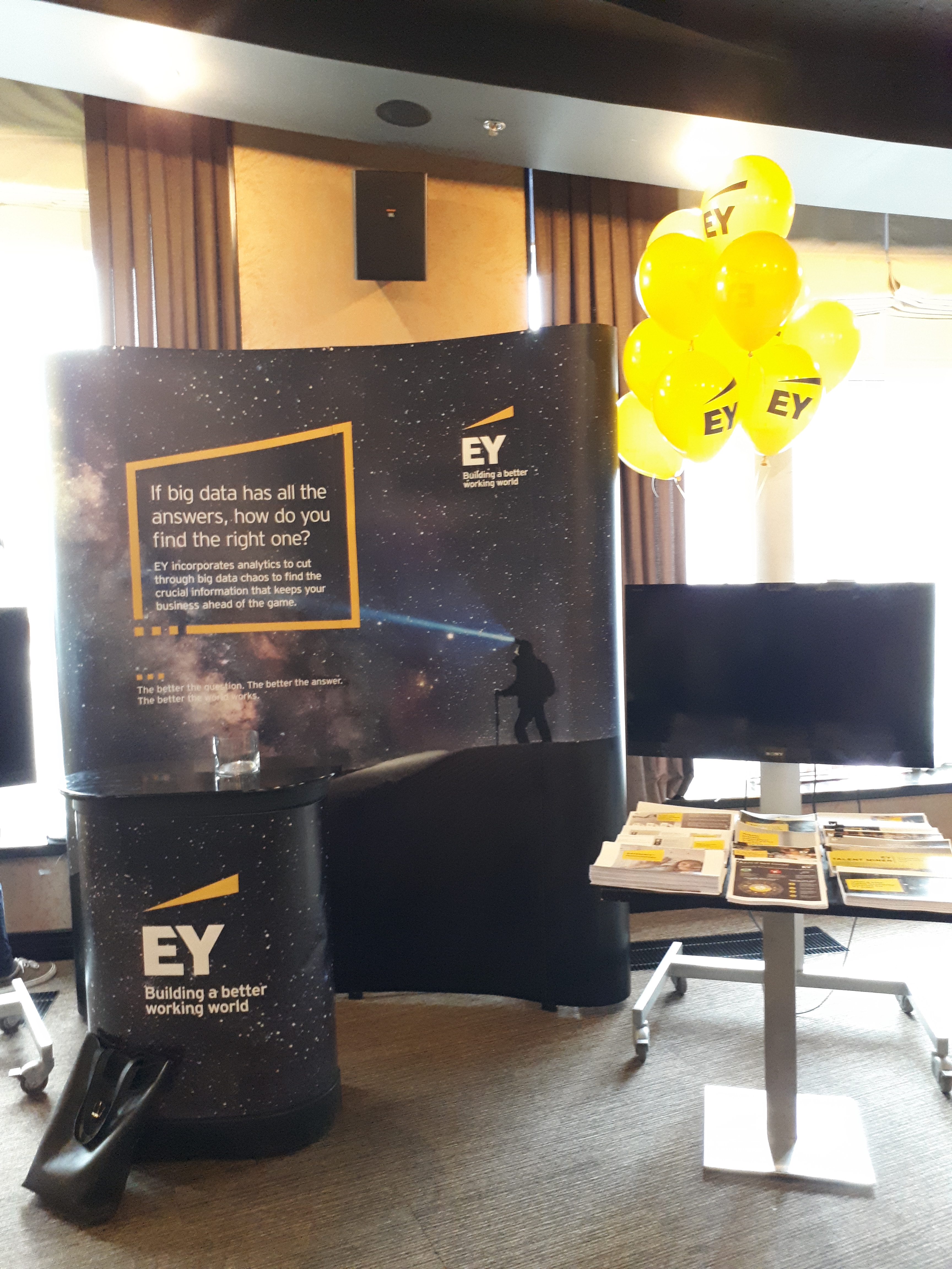 Promo materials Ernst & Young for business event